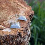 Boucles d'oreilles argent Koh Phi